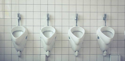 FTM choice which toilet to use