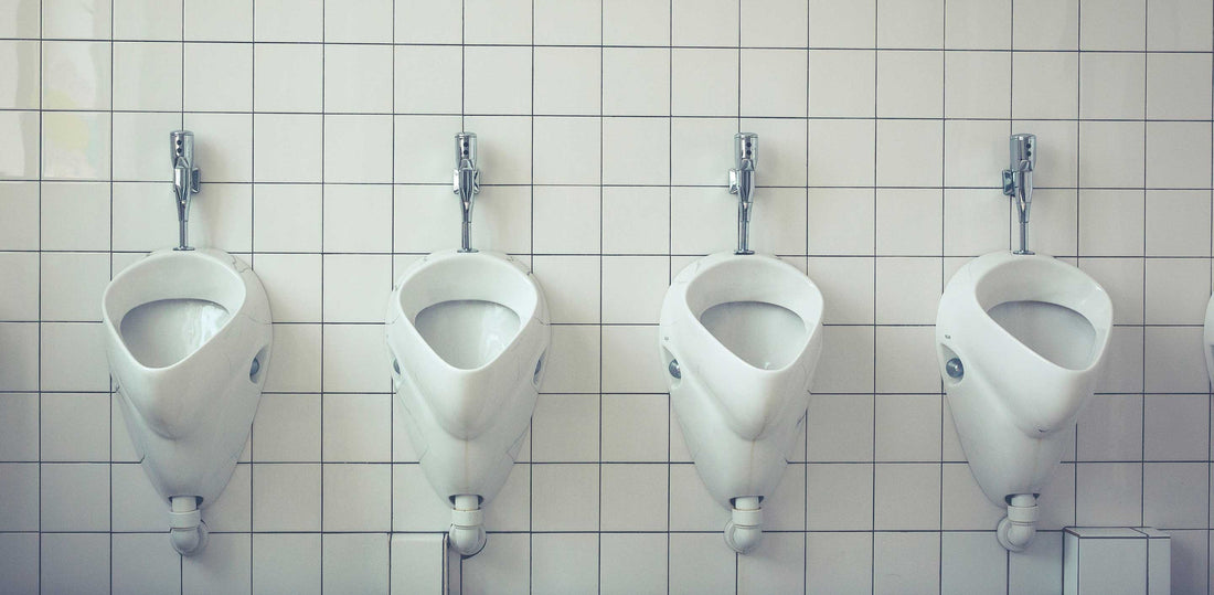 FTM choice which toilet to use