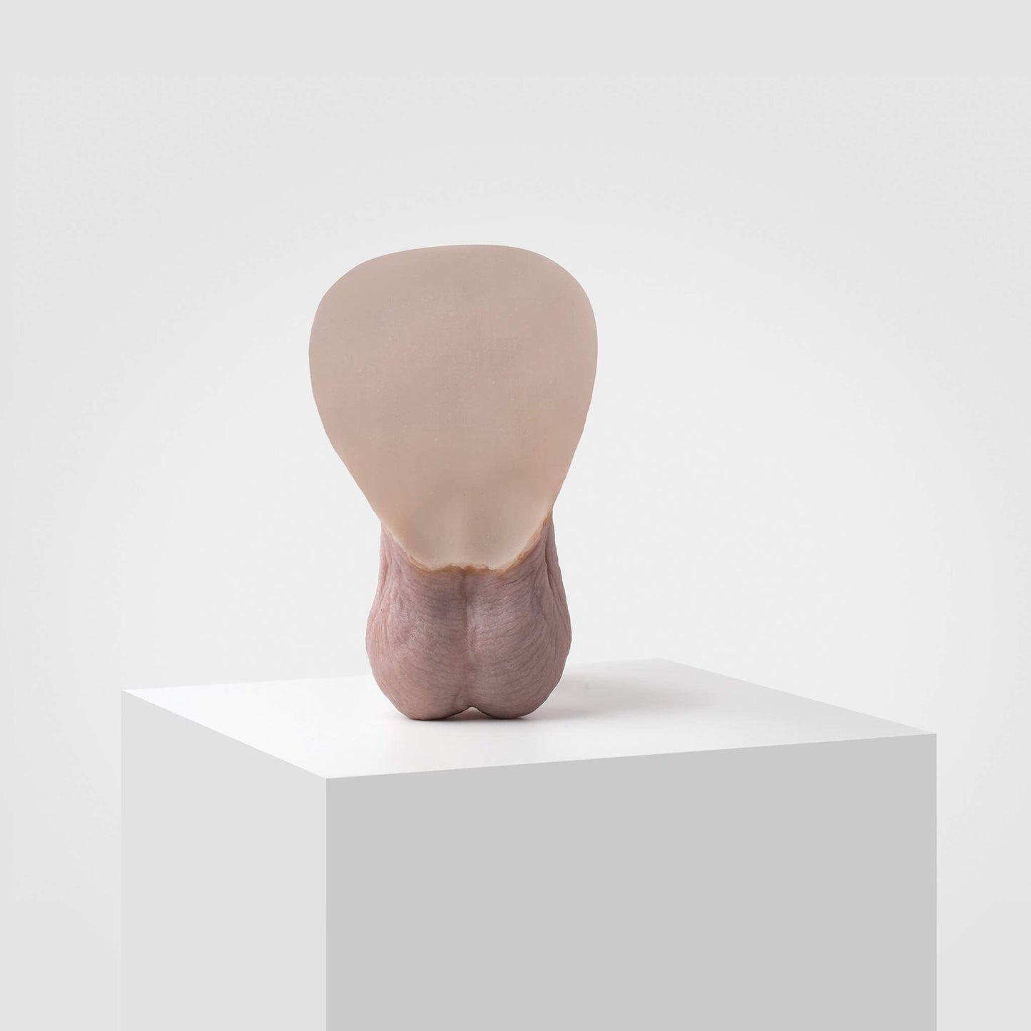 FTM packer FL11 - Emisil