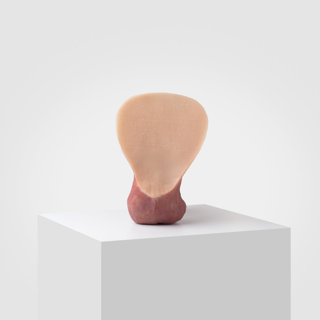 ER04 Compact Pack & Play — Discreet FTM Prosthetic | Emisil