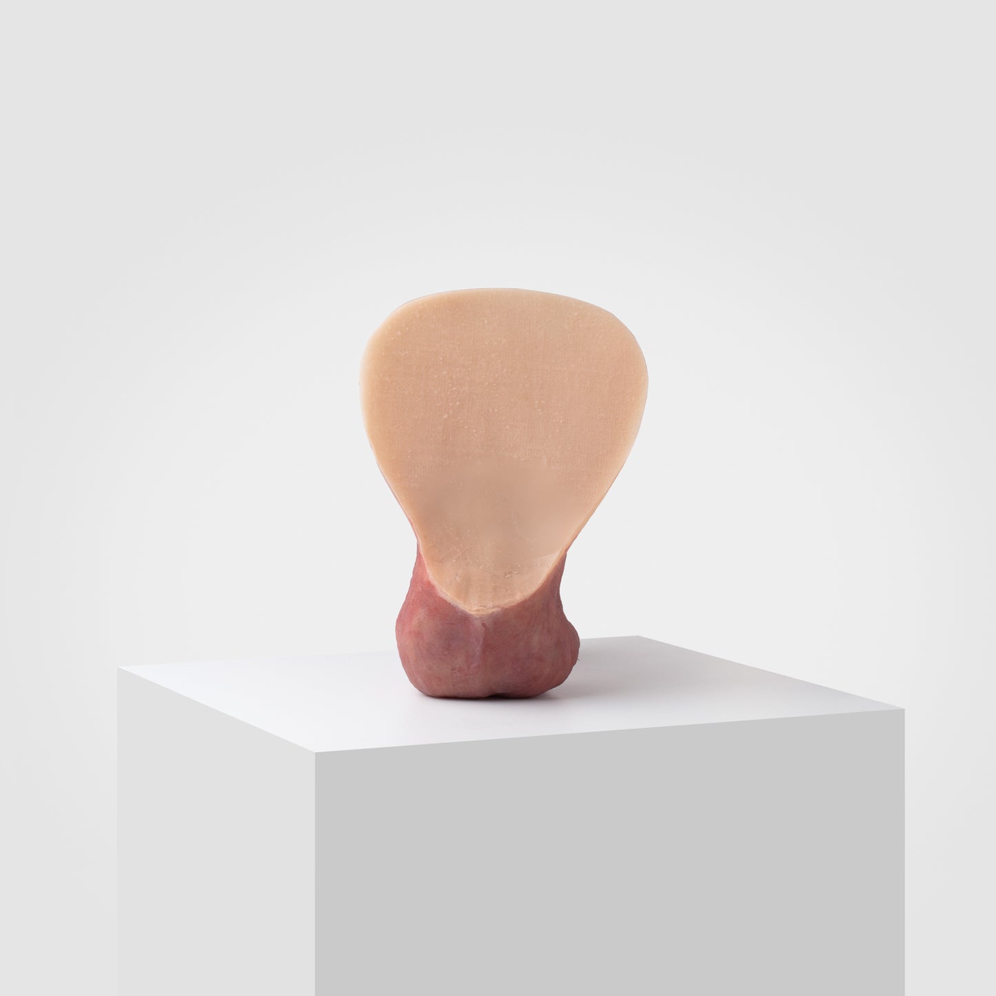 Emisil ultra-realistic FTM packer model on white display pedestal, neutral background