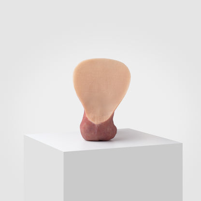 Emisil ultra-realistic FTM packer model on white display pedestal, neutral background