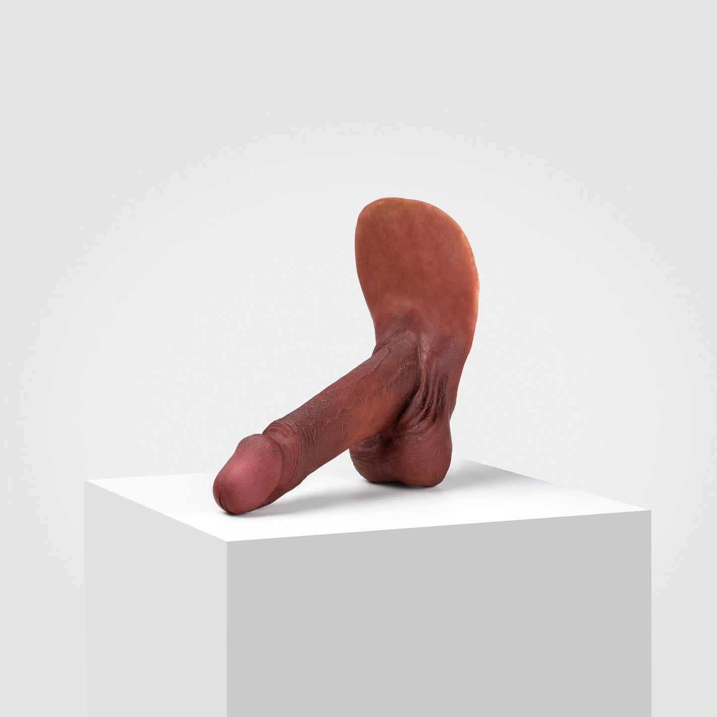 Emisil ER01 | Realistic Anatomical Pack & Play Model