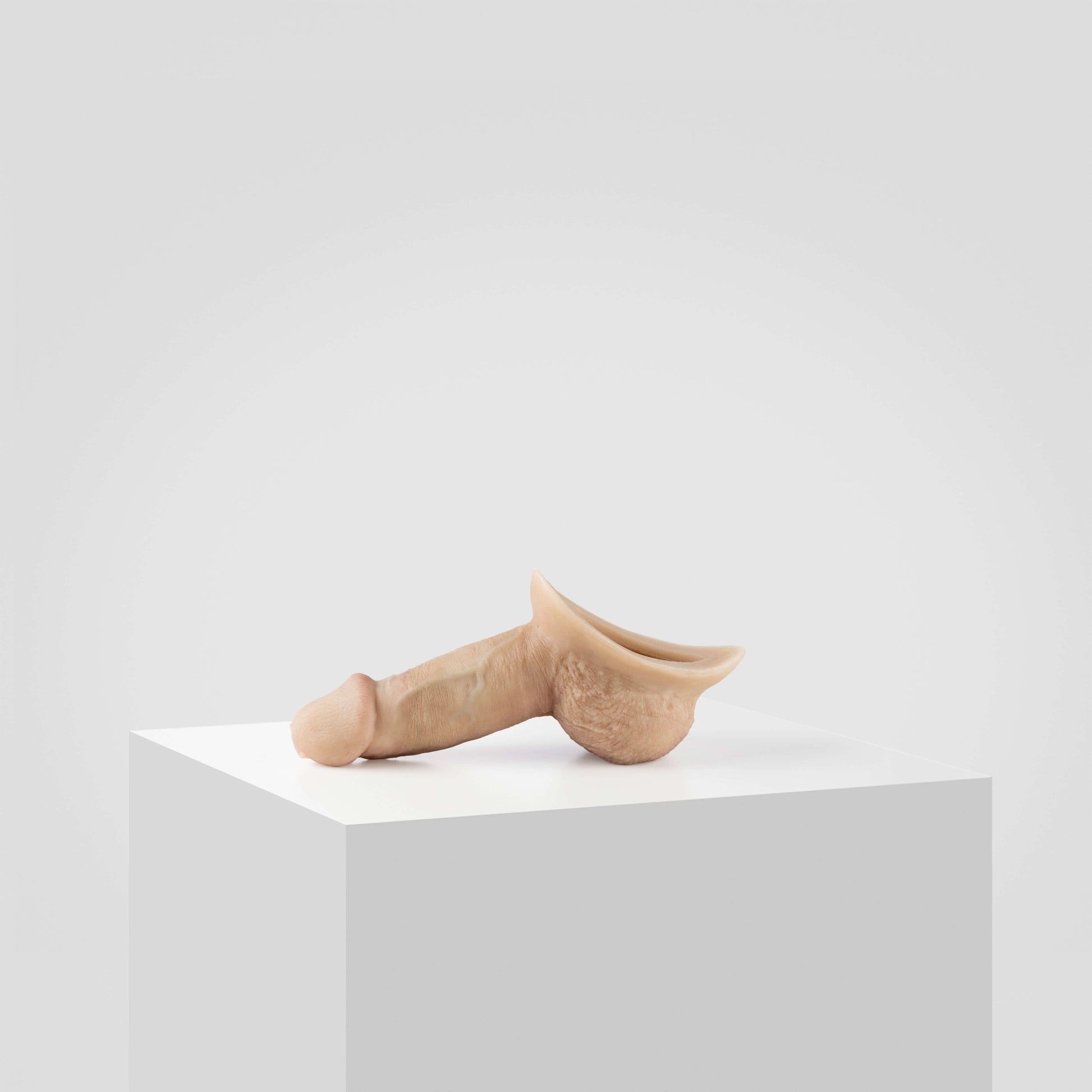 Emisil STP Schwanz - FTM STP 2024