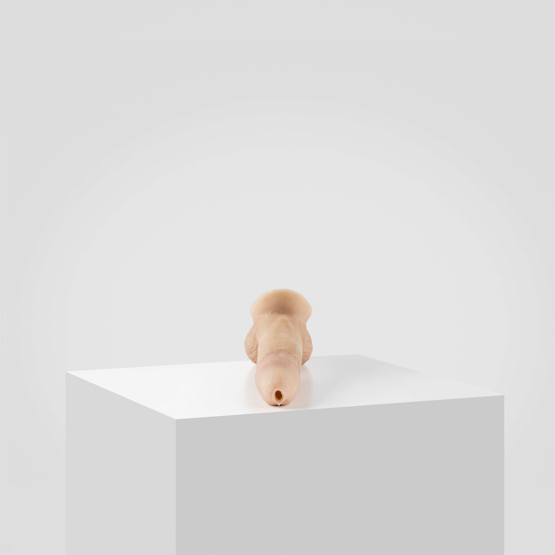 Emisil STP Schwanz - FTM STP 2024