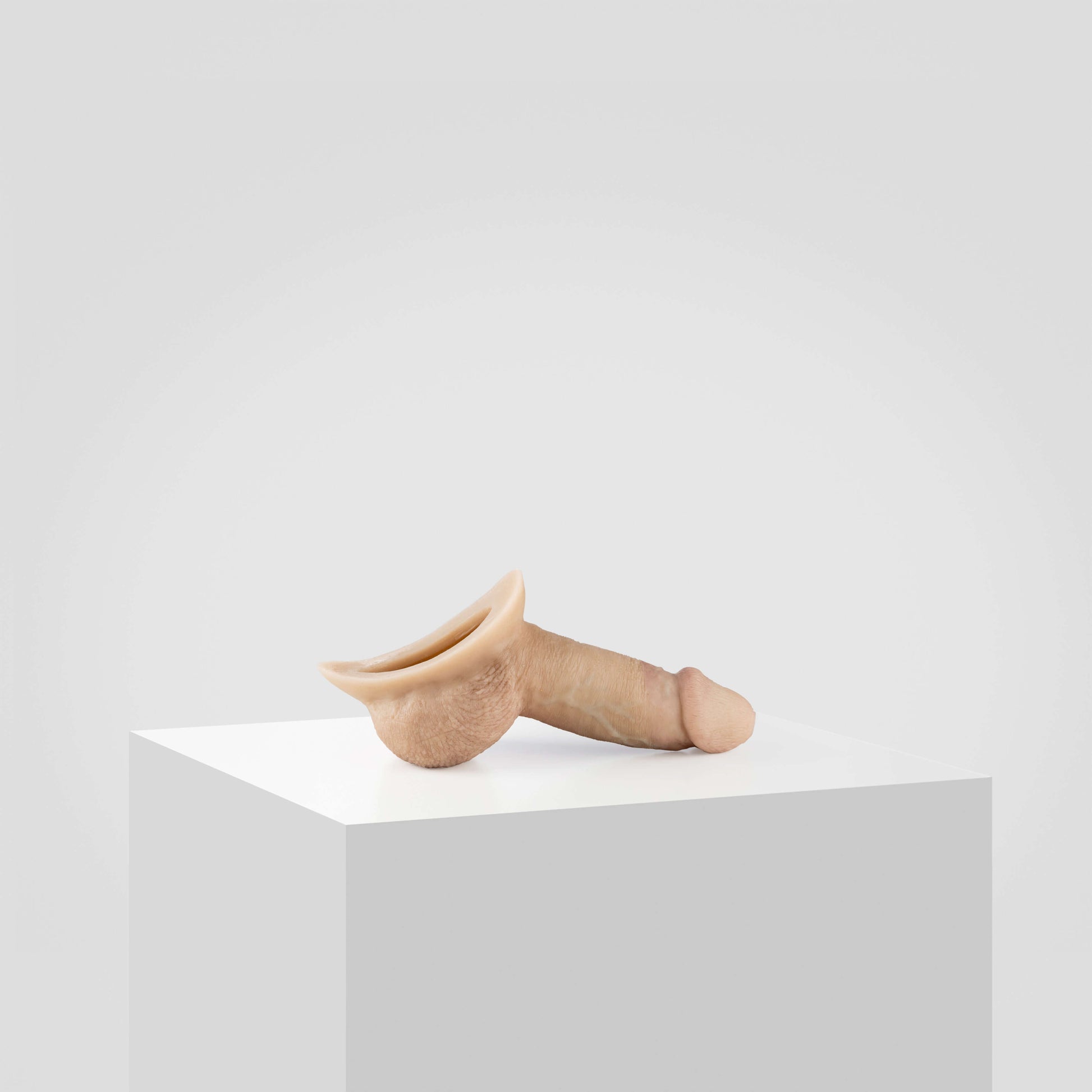 Emisil STP Schwanz - FTM STP 2024