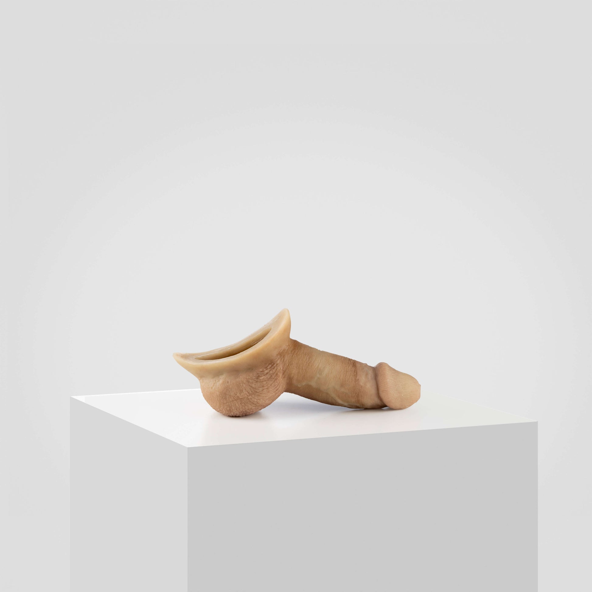 Emisil STP Schwanz - FTM STP 2024