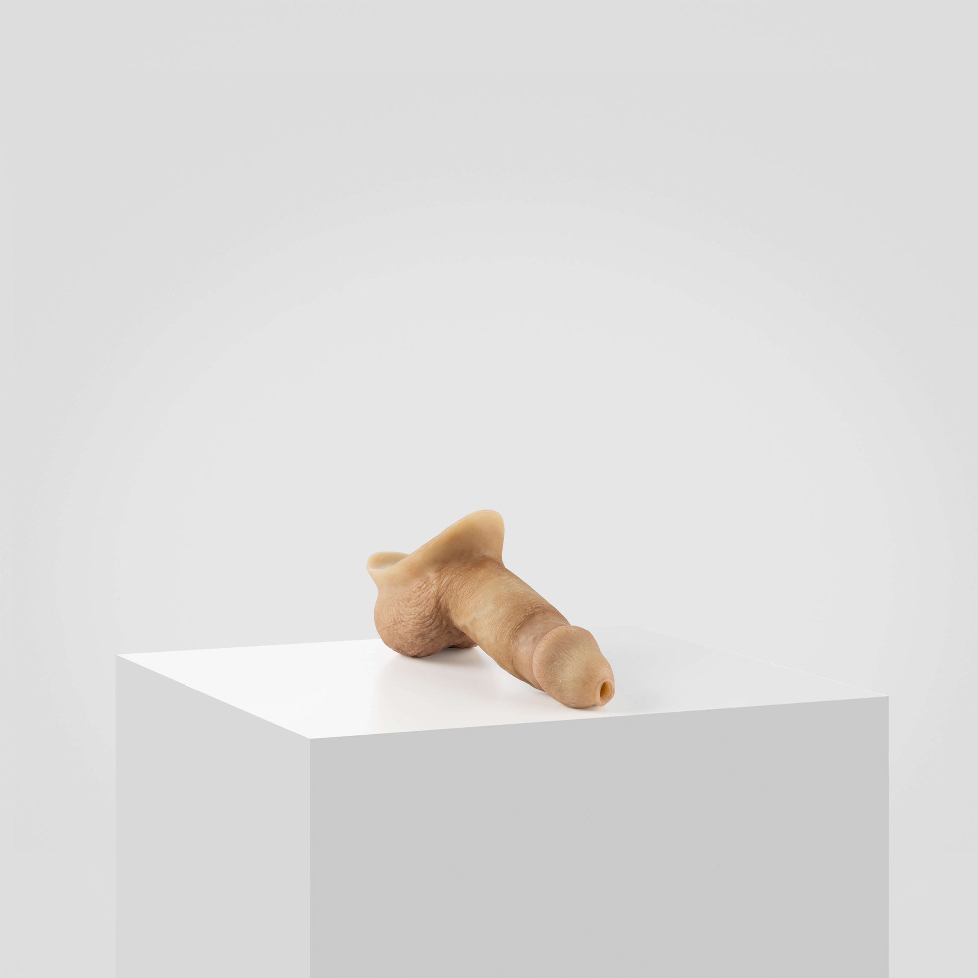 Emisil STP Schwanz - FTM STP 2024