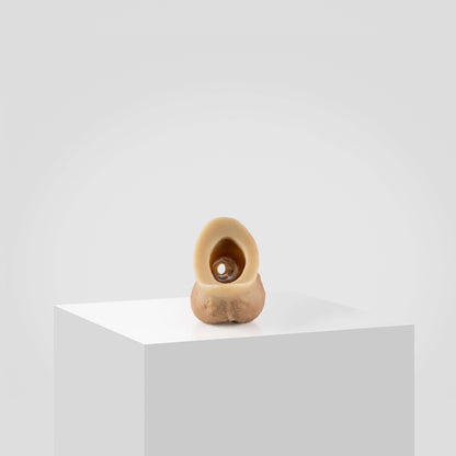 Emisil STP Schwanz - FTM STP 2024