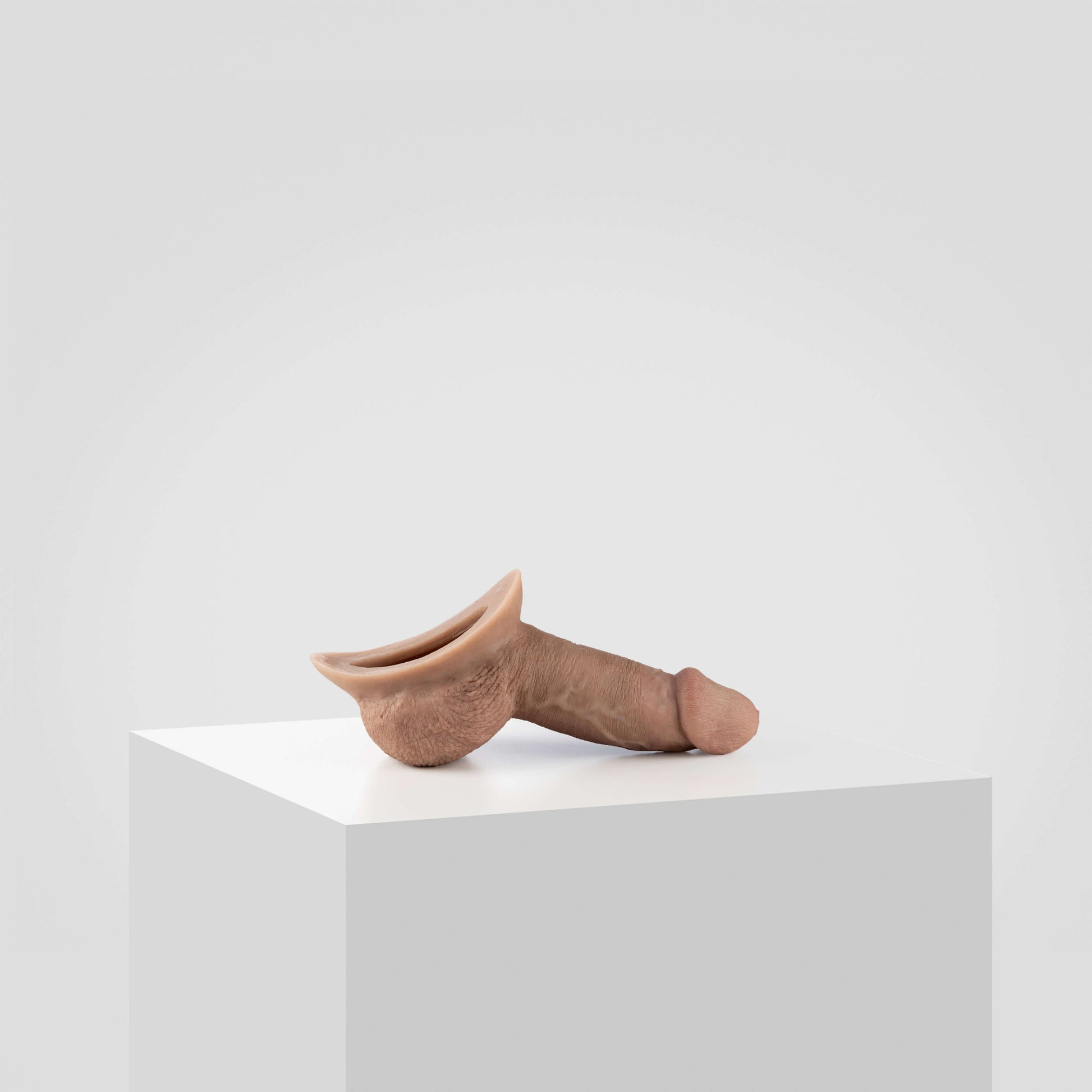 Emisil STP Schwanz - FTM STP 2024