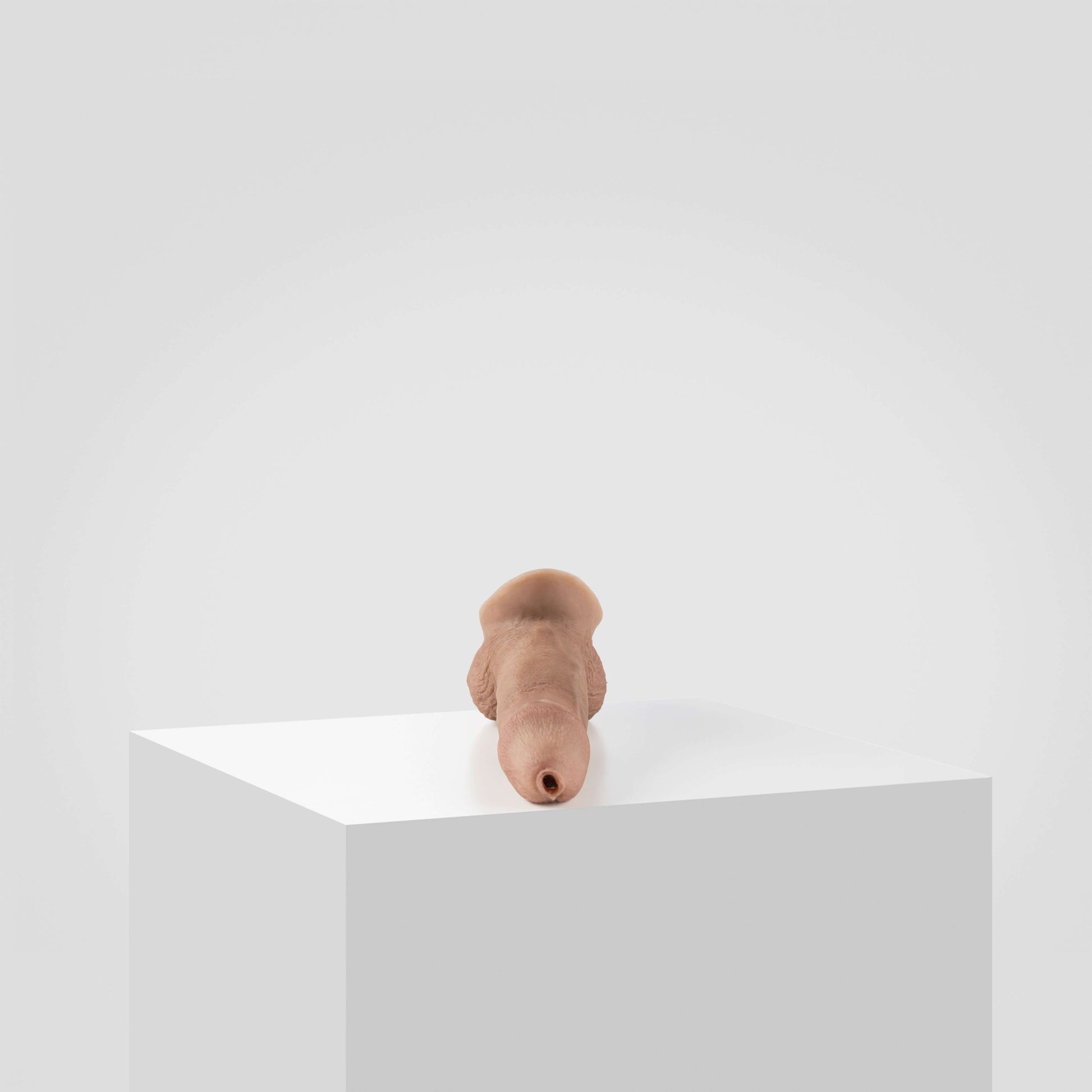 Emisil STP Schwanz - FTM STP 2024