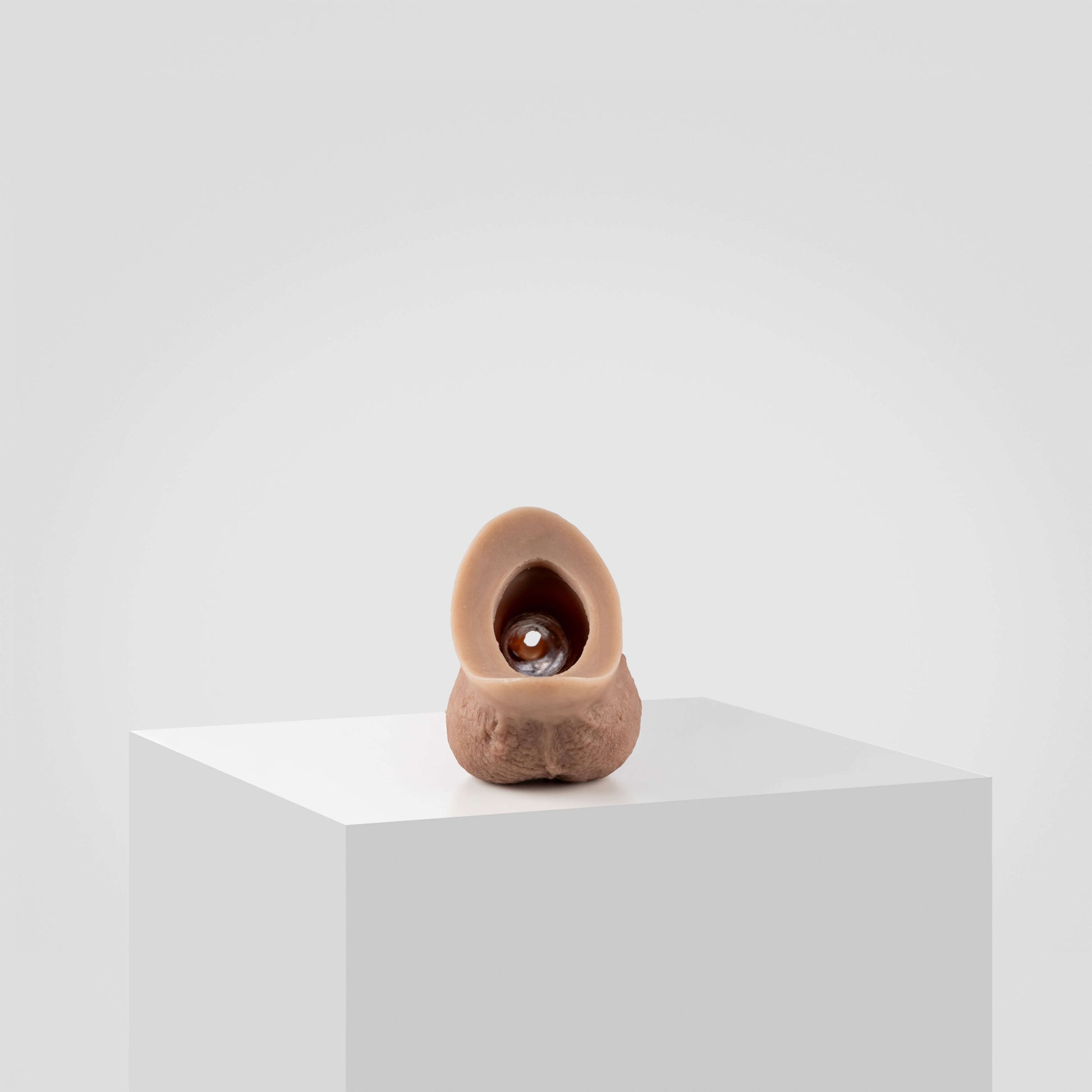 Emisil STP Schwanz - FTM STP 2024