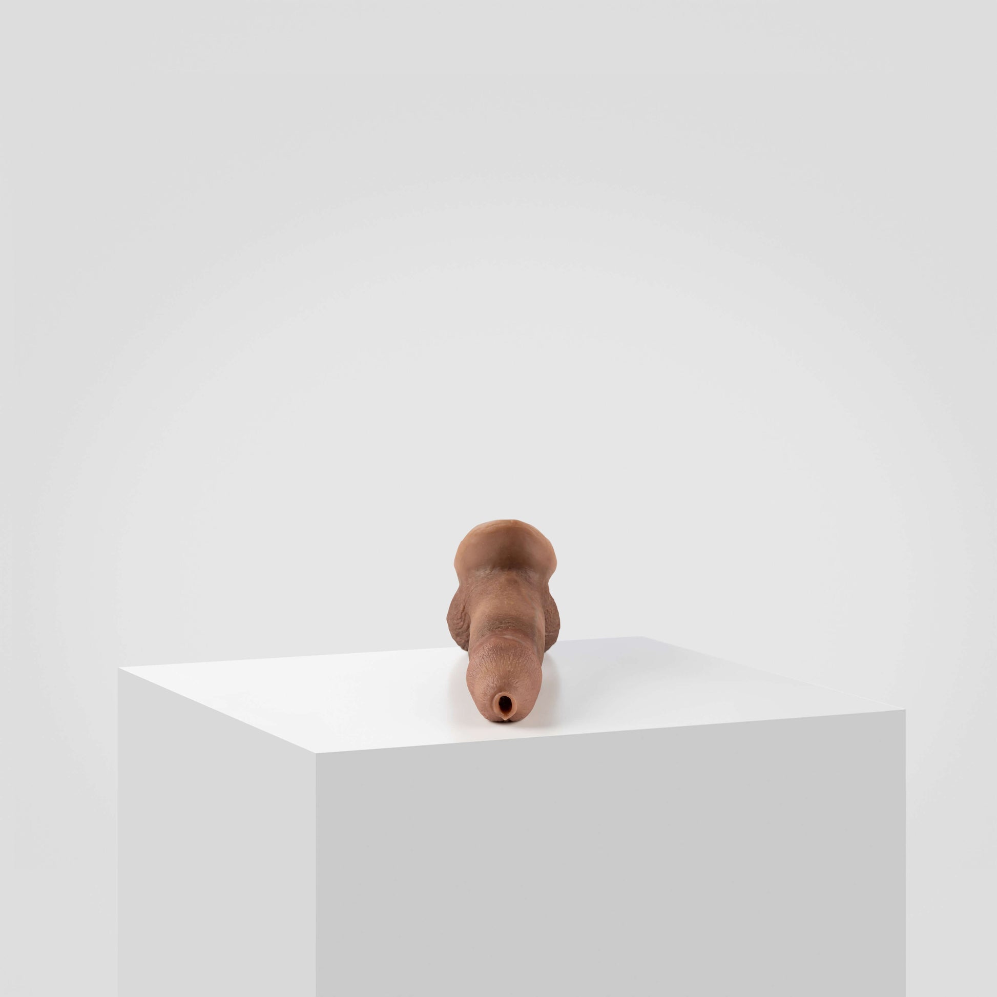 Emisil STP Schwanz - FTM STP 2024