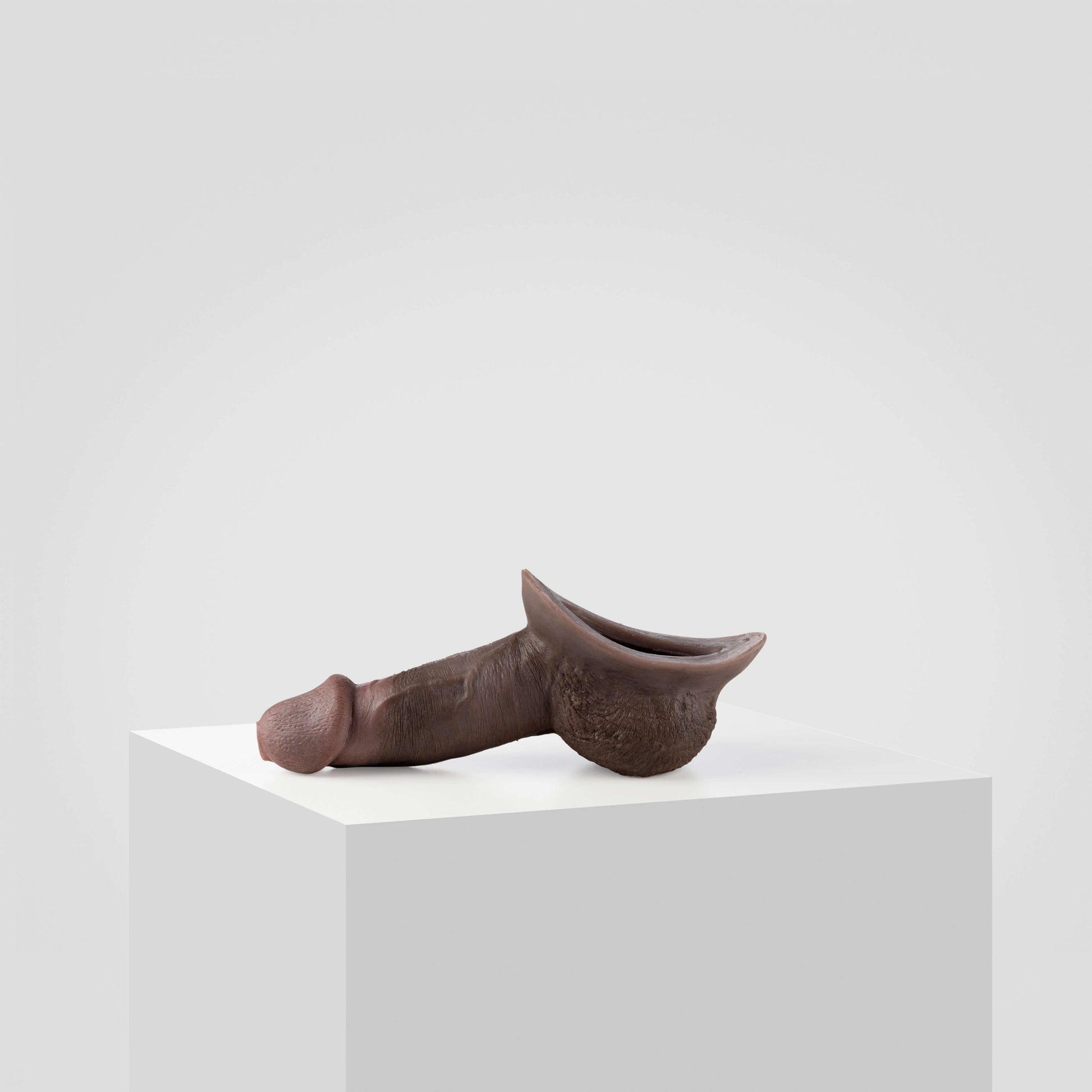 Emisil STP Schwanz - FTM STP 2024