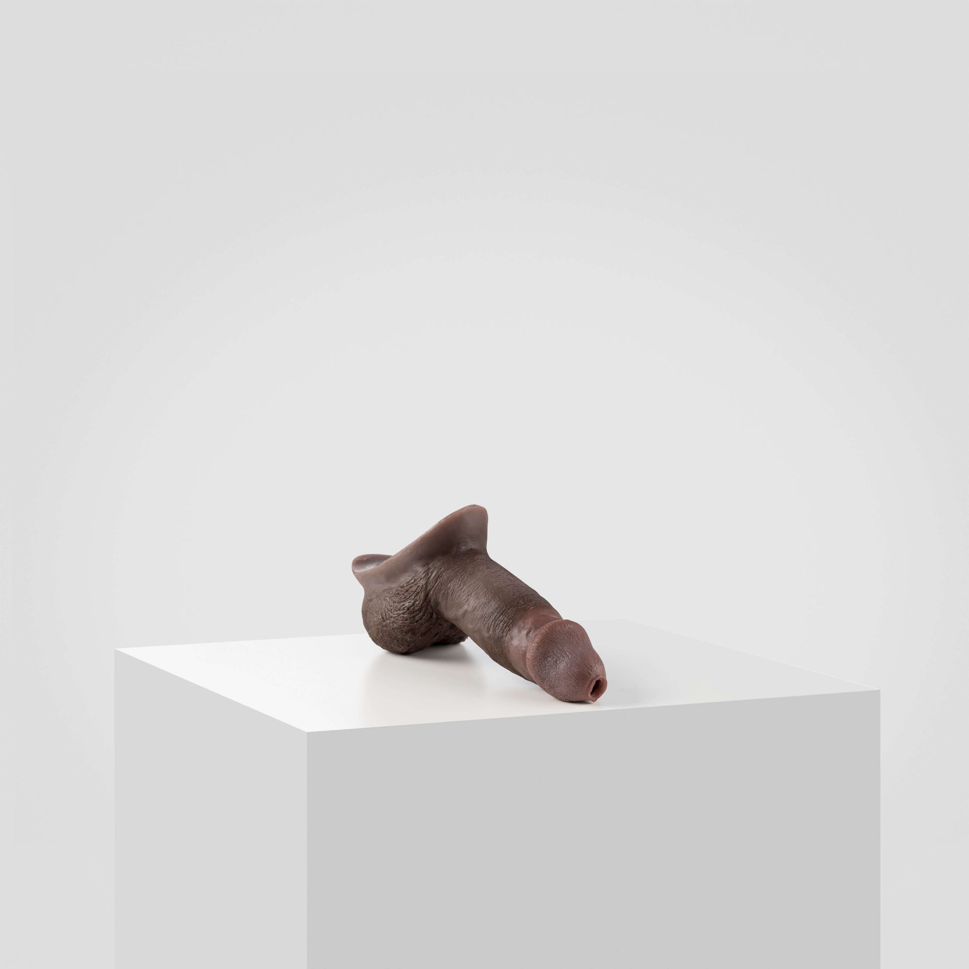 Emisil STP Schwanz - FTM STP 2024