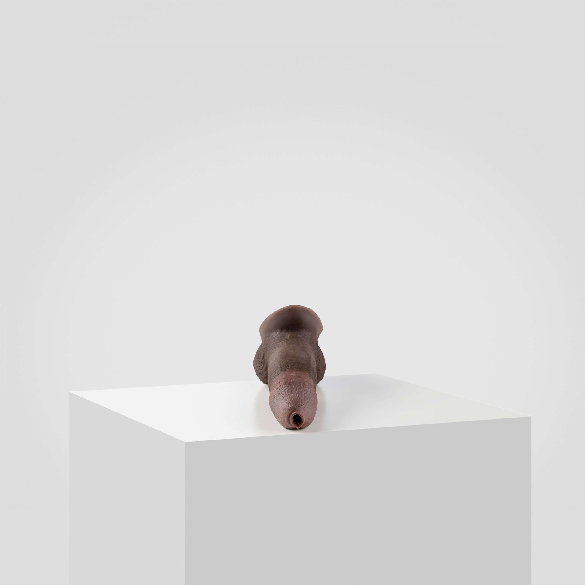 Emisil STP Schwanz - FTM STP 2024