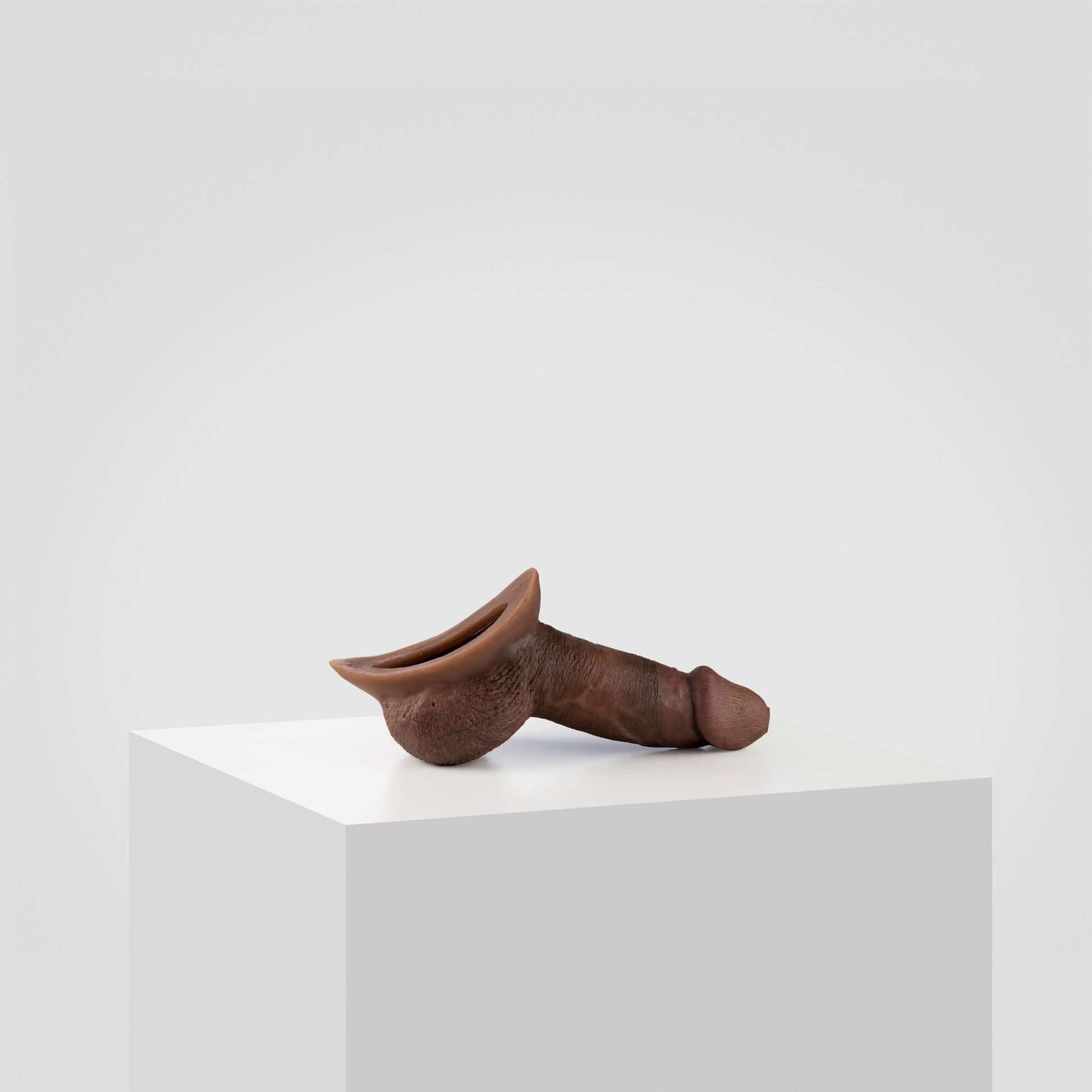 Emisil STP Schwanz - FTM STP 2024