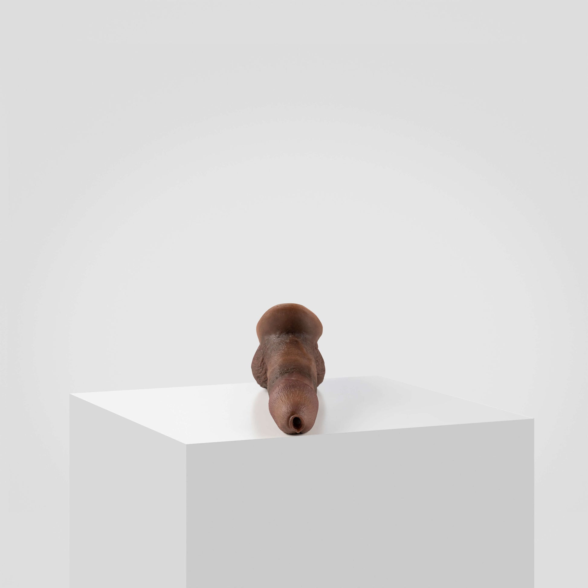 Emisil STP Schwanz - FTM STP 2024