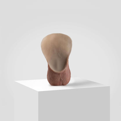 Emisil ER11: The Original Large FTM Pack and Play for a Powerful Presence & Intimacy