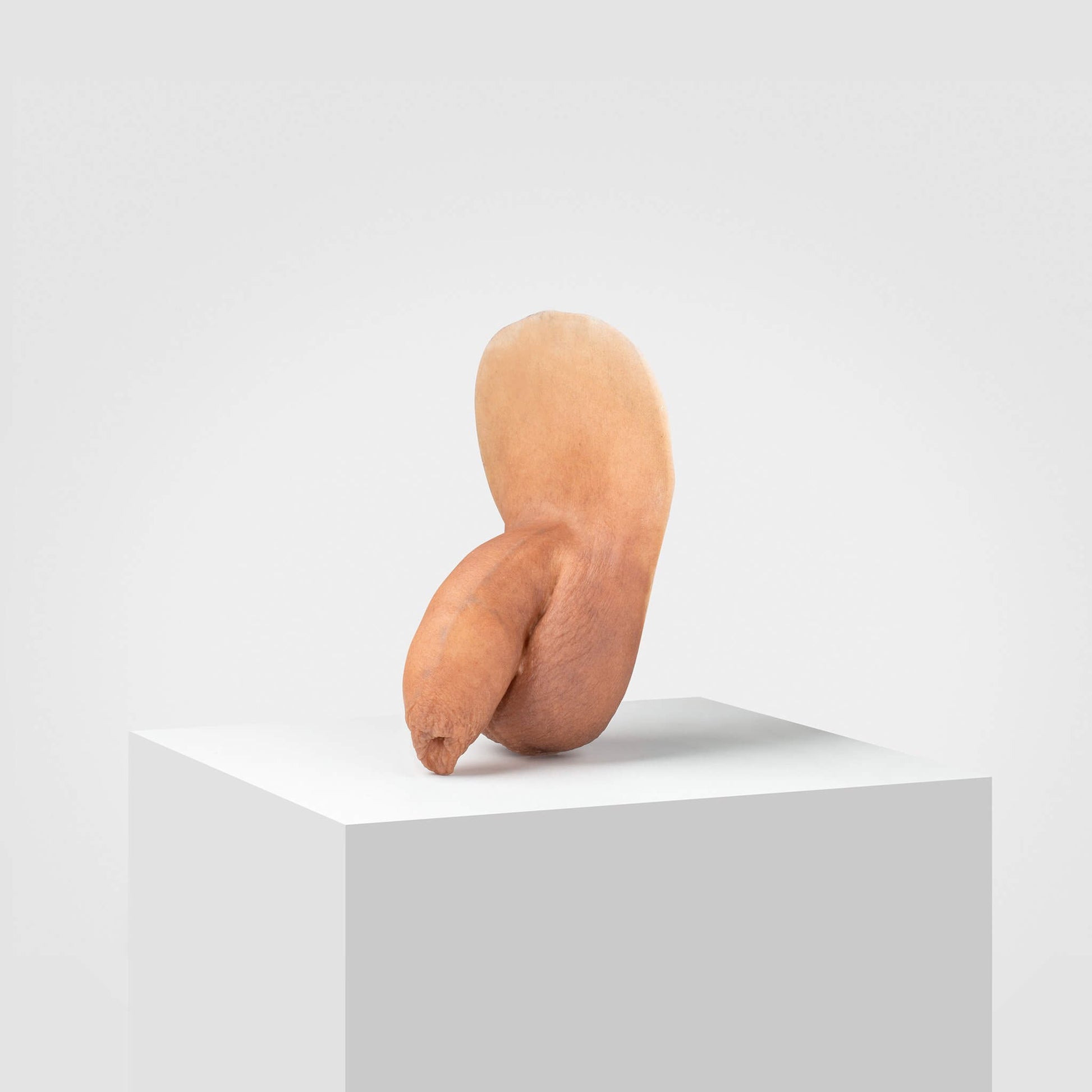 FTM packer FL05 - Emisil