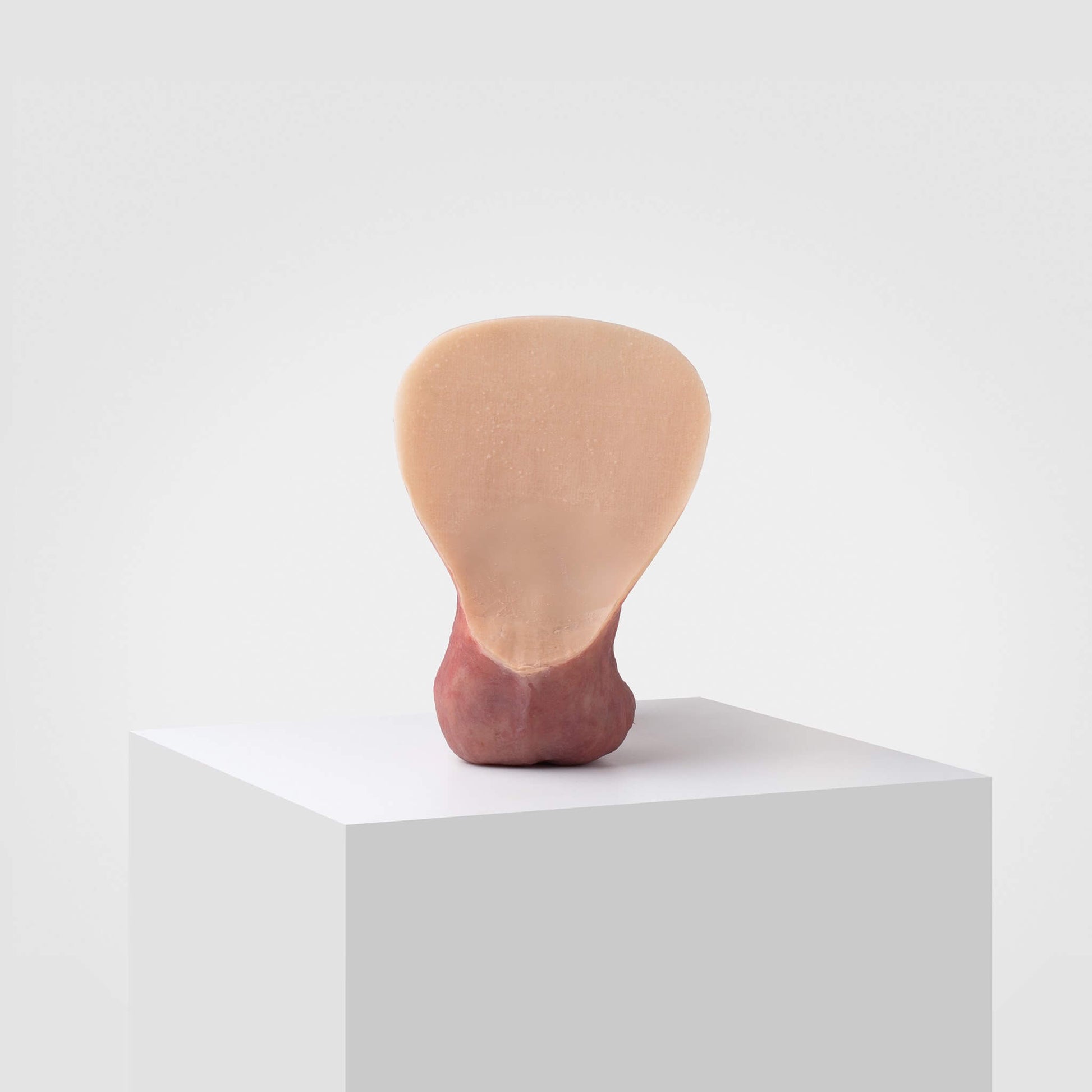 FTM pack and play - ER04 - Emisil