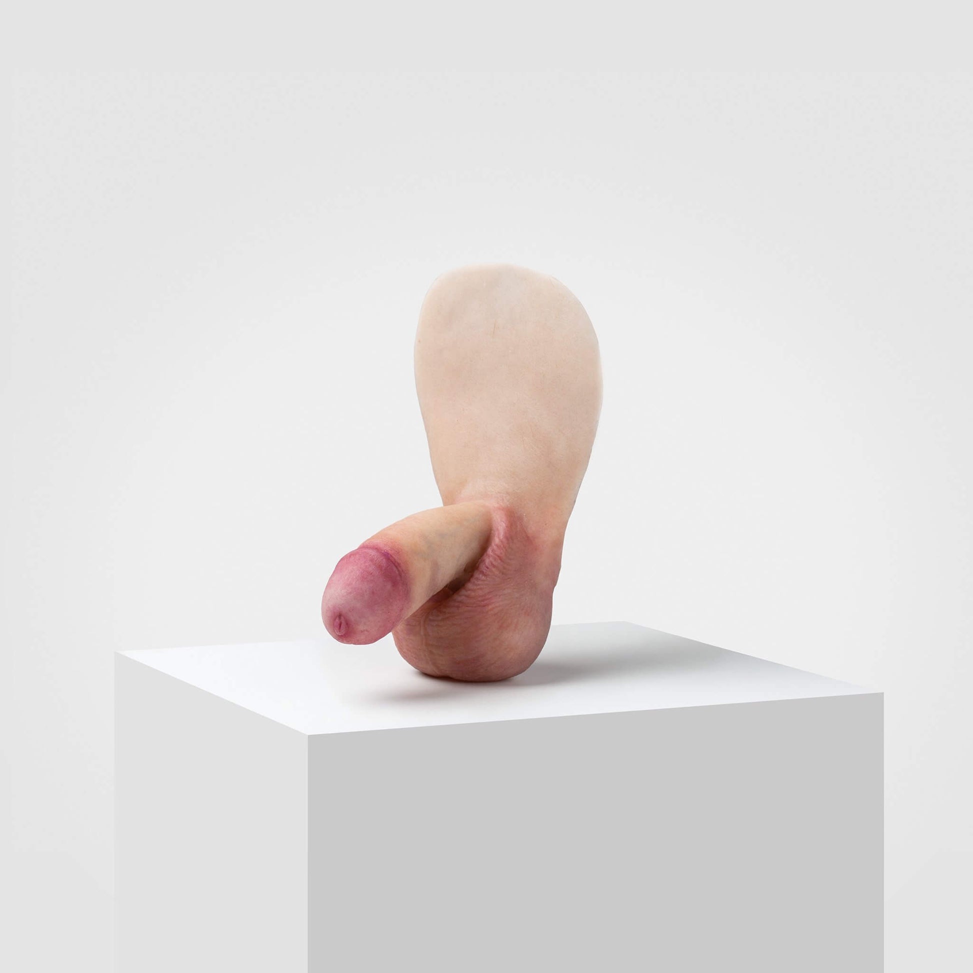 FTM packer FL01 - Emisil