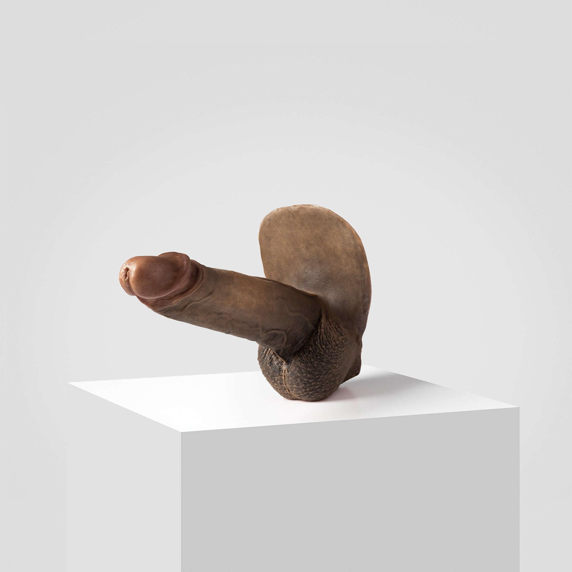 Pack and play packer FTM | ER07