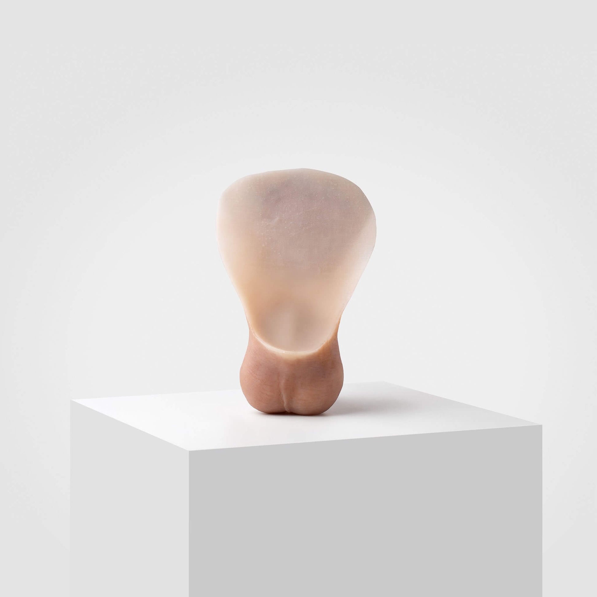 FTM packer FL01 - Emisil