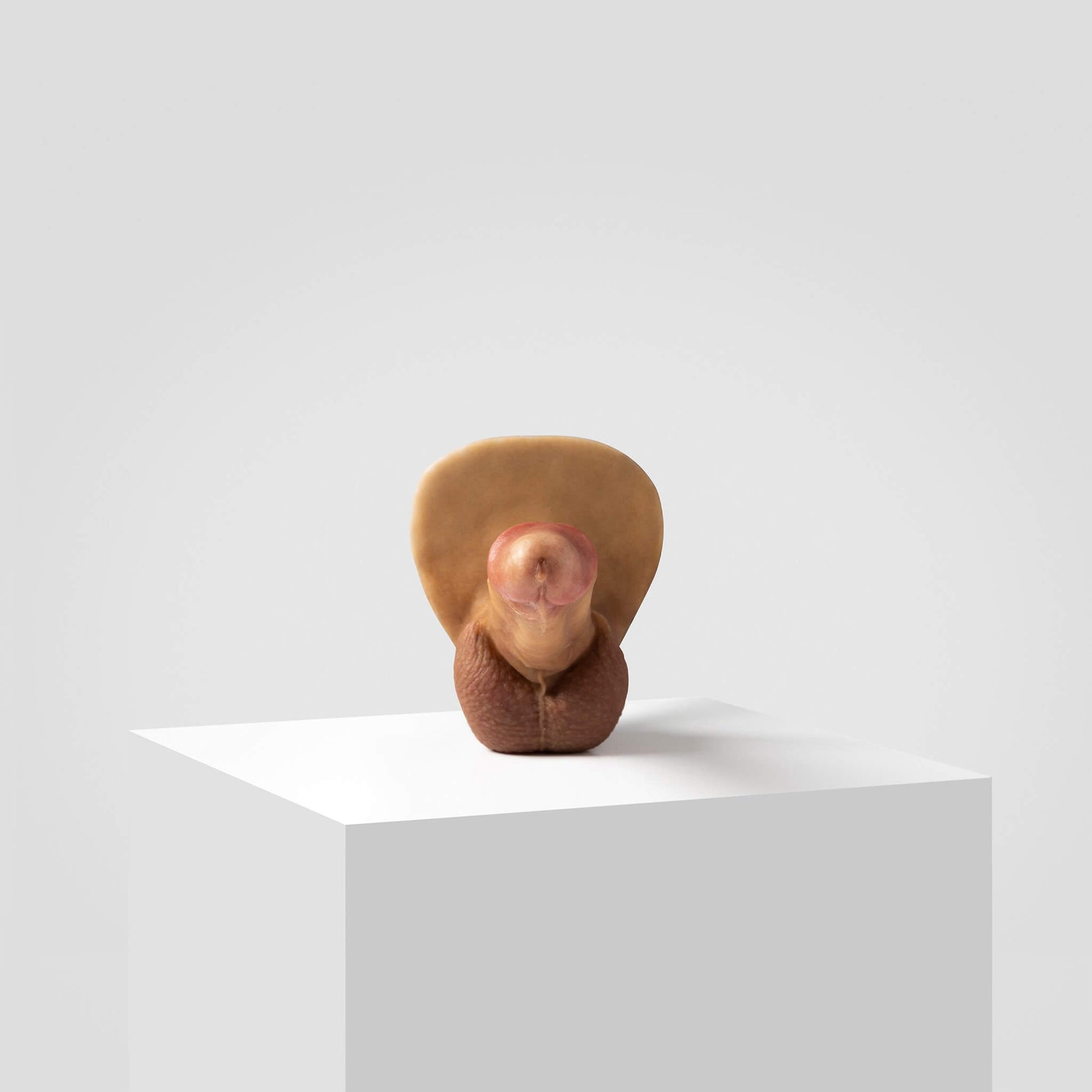 NEW Pack and play packer FTM | ER07