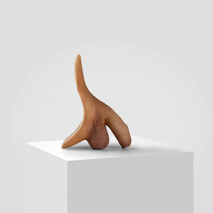 FTM STP - 3rd gen. uncircumcised - Emisil